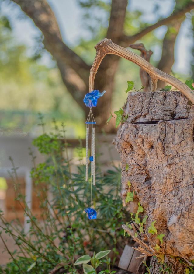 Studio App Luka-We Love Nature. Sveti Ivan  Экстерьер фото