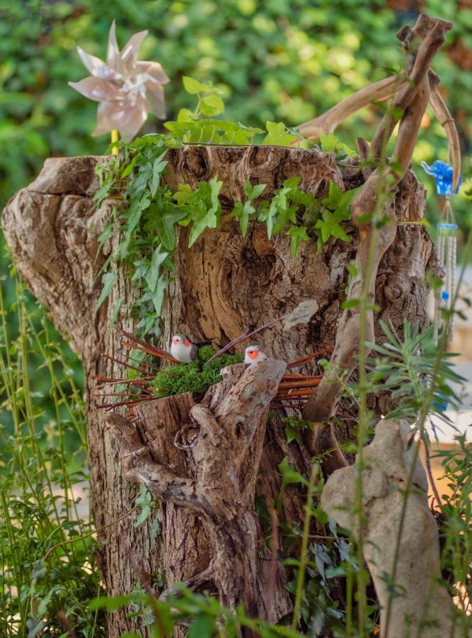 Studio App Luka-We Love Nature. Sveti Ivan  Экстерьер фото